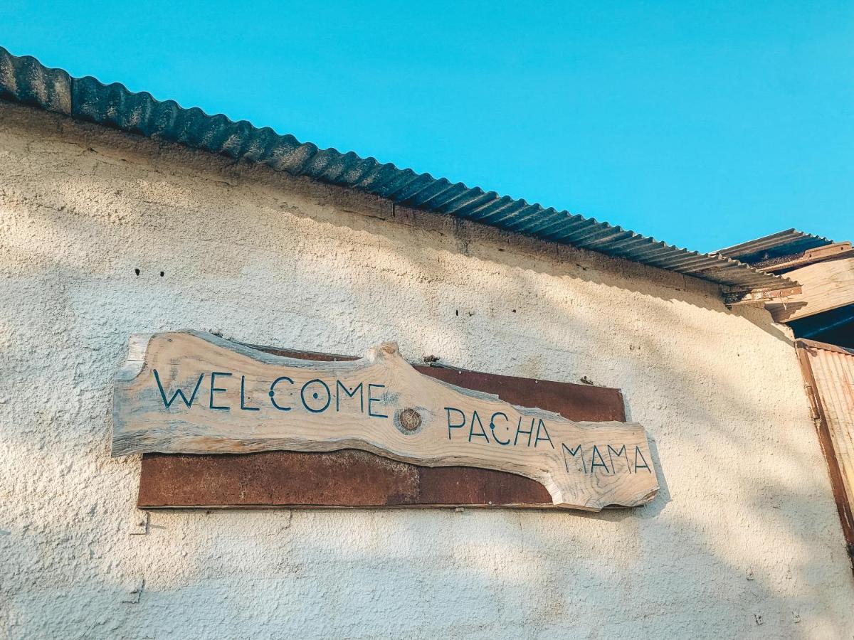 Apartament Visit Pachamama Community Alcácer do Sal Zewnętrze zdjęcie